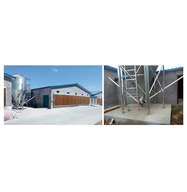 秦皇岛肉鸡自动送料系统