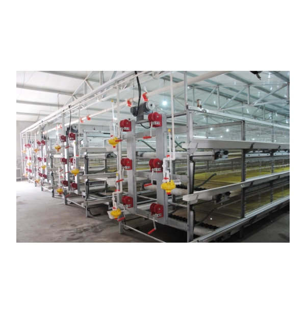 秦皇岛肉鸡笼养系统