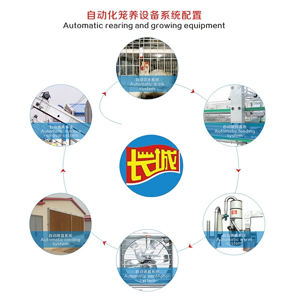 秦皇岛肉鸡自动饮水系统