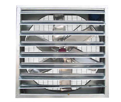 怎样确保蛋鸡装备有用透风？？？