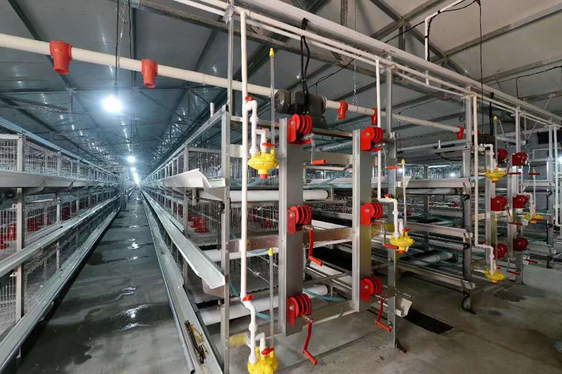 肉鸡装备喂料机为什么会梗塞？？