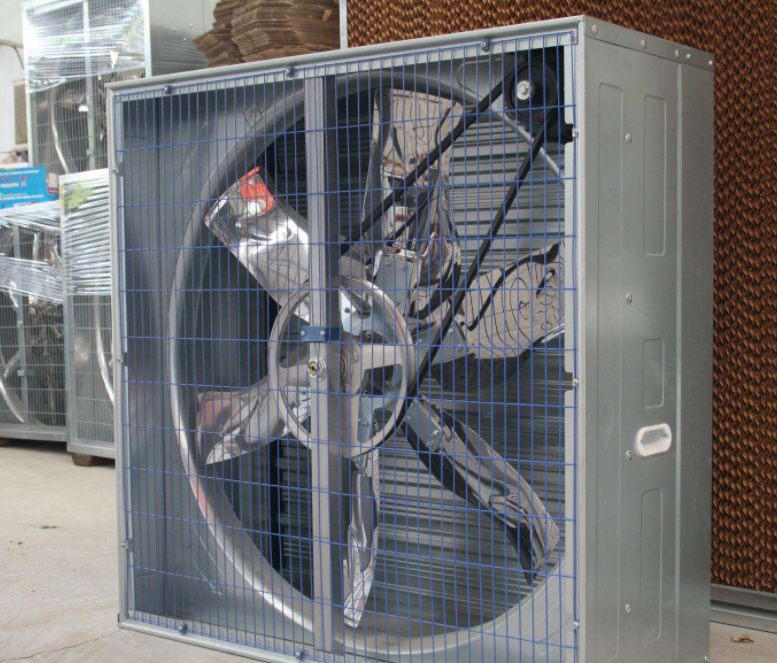 你知道怎样装置肉鸡装备风机水帘更耐用吗？？？