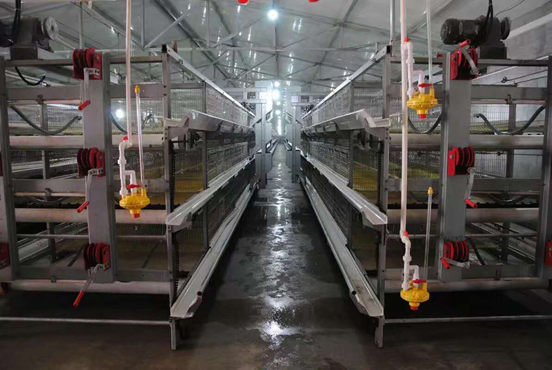 你知道肉鸡装备加料机的组成吗？？？