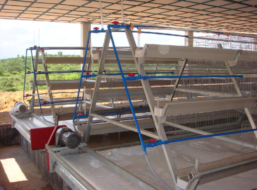 磨练全自动养鸡装备的清静有什么需要注重的事项吗？？