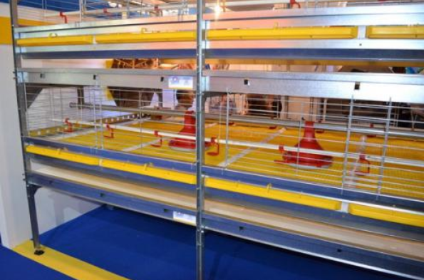 怎样给肉鸡装备风机镌汰噪音吗？？