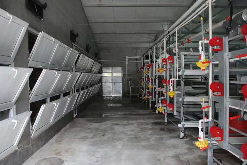 怎样治理肉鸡养殖场的肉鸡装备？？？