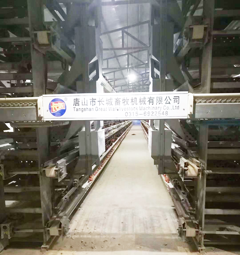 若是您想用自动化装备养蛋鸡，，，哪些蛋鸡装备是必不可少的？？？